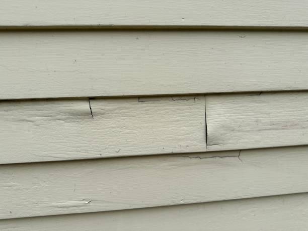 Best Property Management Cleanouts  in Rose, LA